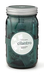 Garden Jar Cilantro<br>Indoor Kit - Modern Sprout